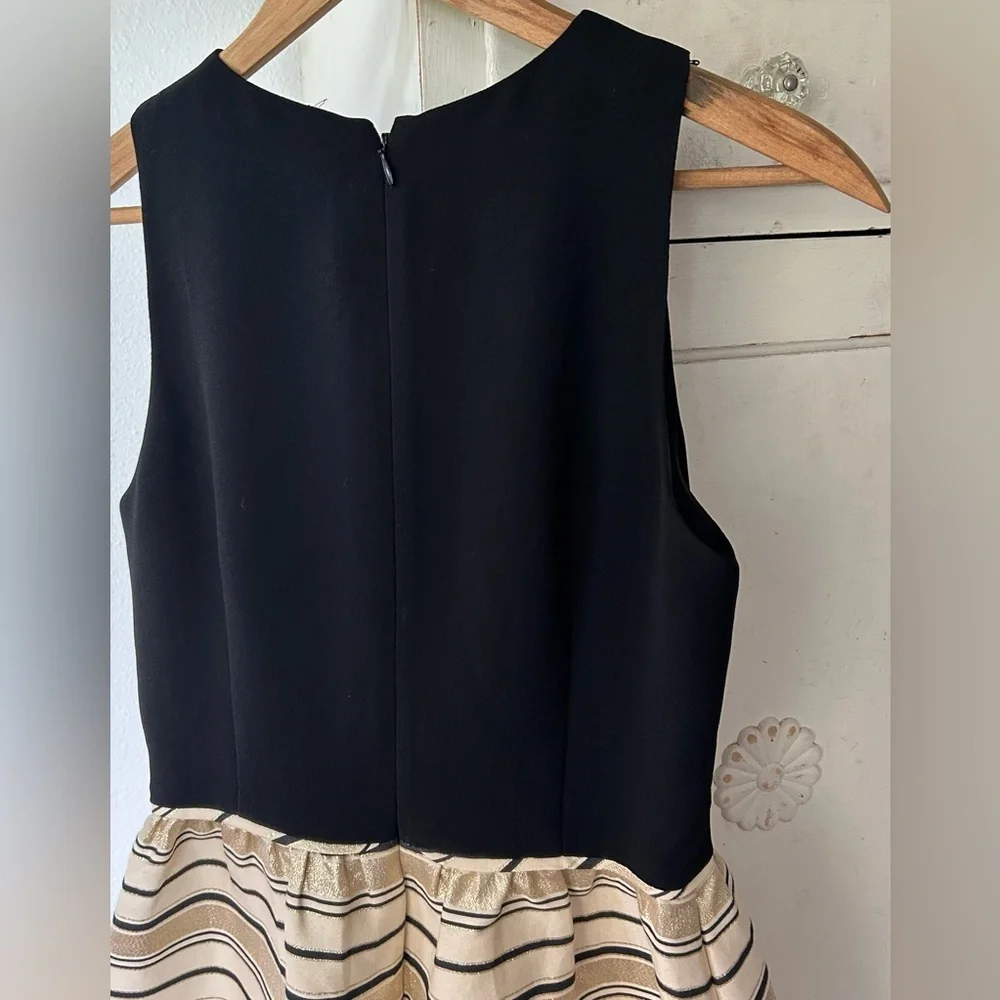 J. Crew | Women’s black/gold metallic striped sleeveless silk blend party dress2